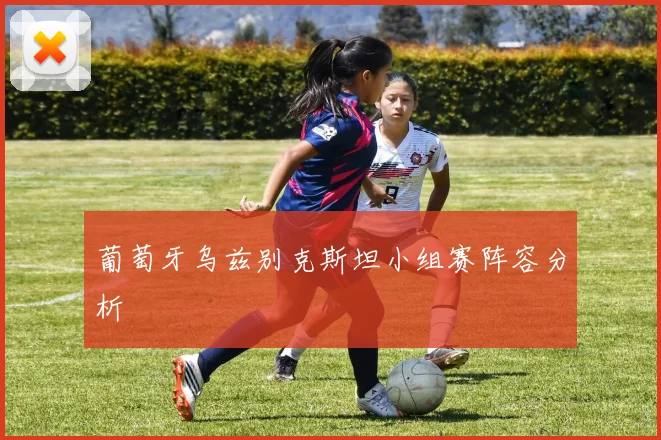 葡萄牙乌兹别克斯坦小组赛阵容分析