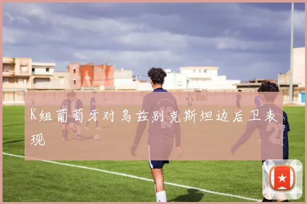 K组葡萄牙对乌兹别克斯坦边后卫表现